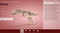 Aplikacja Corinth - Paleontologia i Kultura